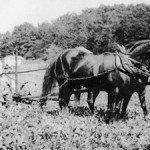 Early Appalachian farming was influenced by traditional European and African agricultural techniques and ideas learned from the Cherokee. [Photo from the Swannanoa Valley Museum.]