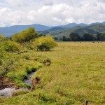 The rich fertile soil of Andrews Valley continues to support modern agriculture.  Courtesy of BlueRidgeHighlander.com©