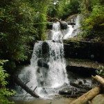 Martin Creek Waterfall.