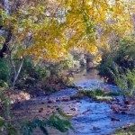 Beautiful Mill Creek runs in front of the museum. Great for trout fishing.