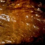 Signature Rock deep in Linville Caverns 2