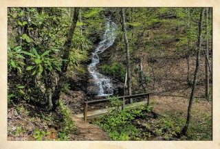 NC Bartram Trail