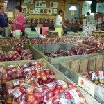 Apples in abundance for sale.